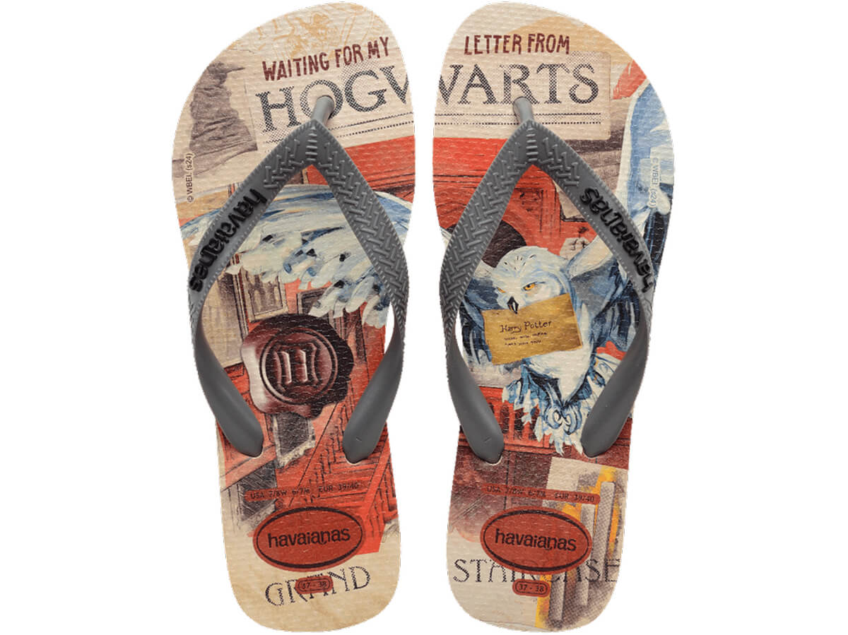 Chinelo Havaianas Top Warner Classic